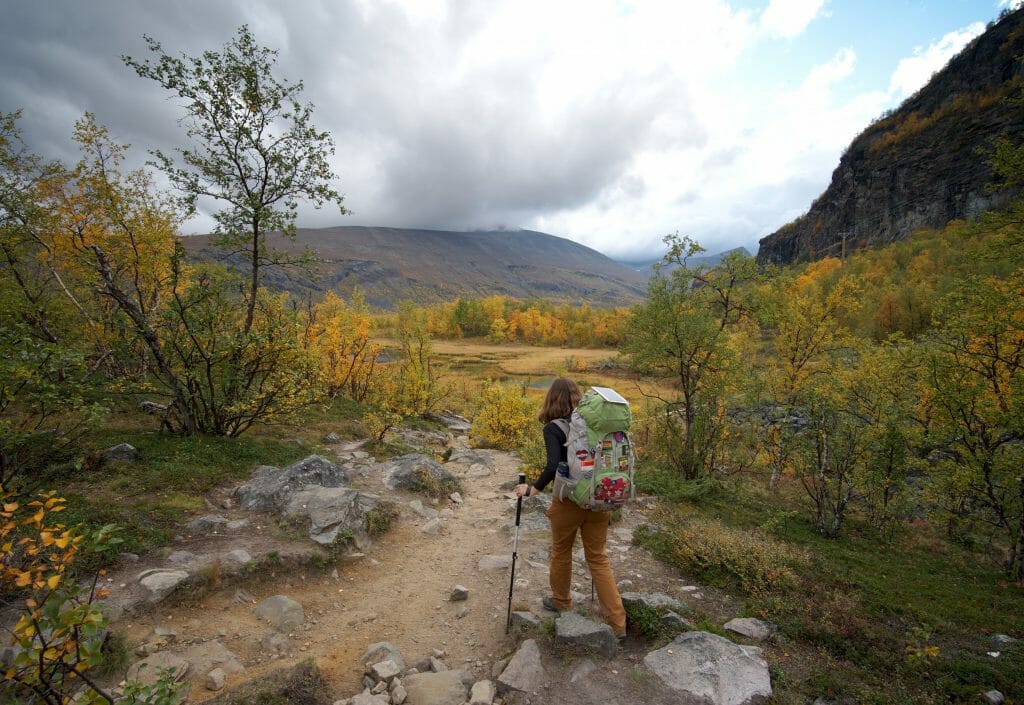 entre nikkaluokta et kebnekaise, kungsleden