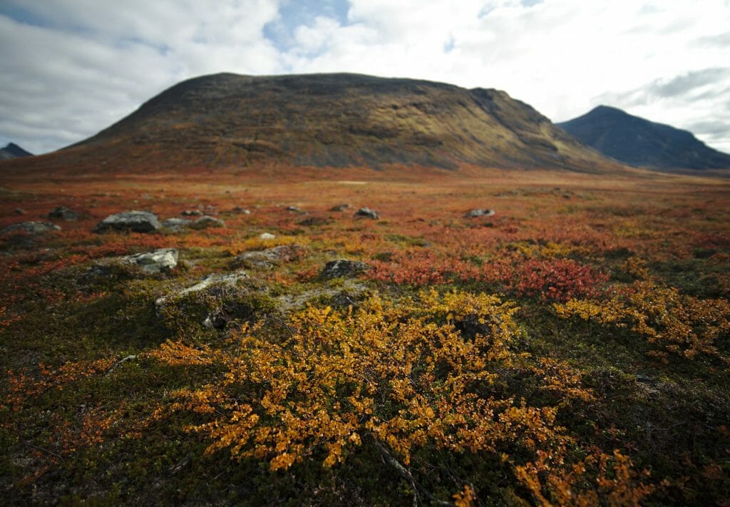 paysages du kungsleden