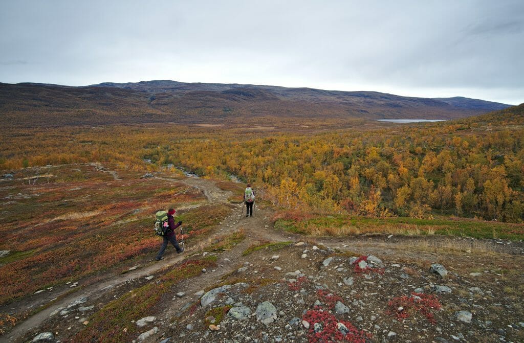 abisko national park