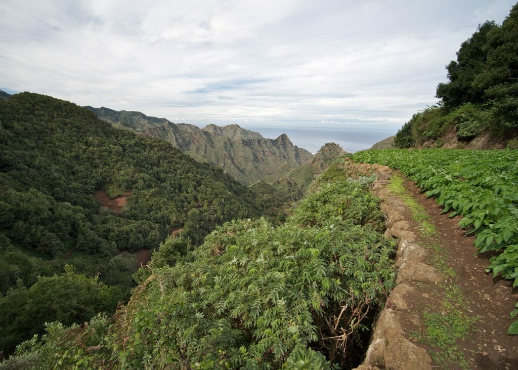 randonnée à tenerife