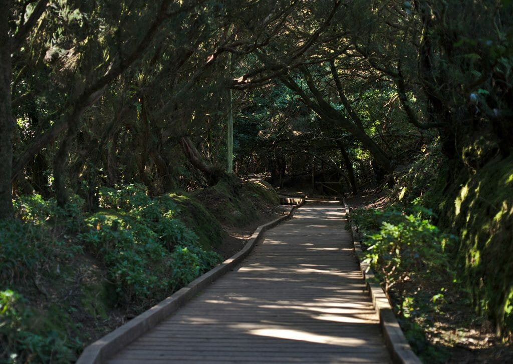 sentier aménagé tenerife