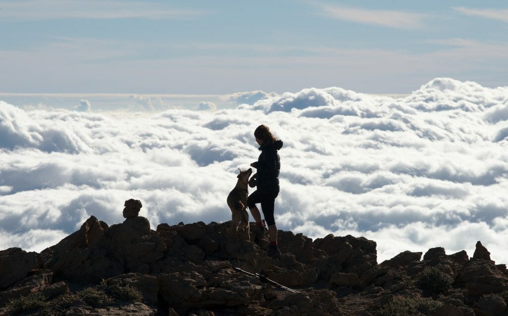 teide-guajara-6