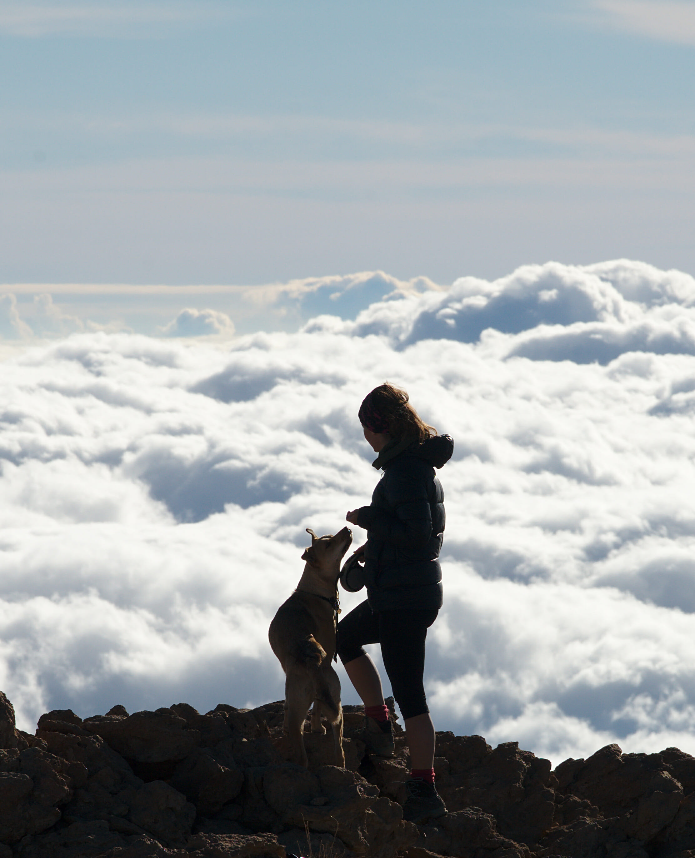 tenerife-nine-coliving