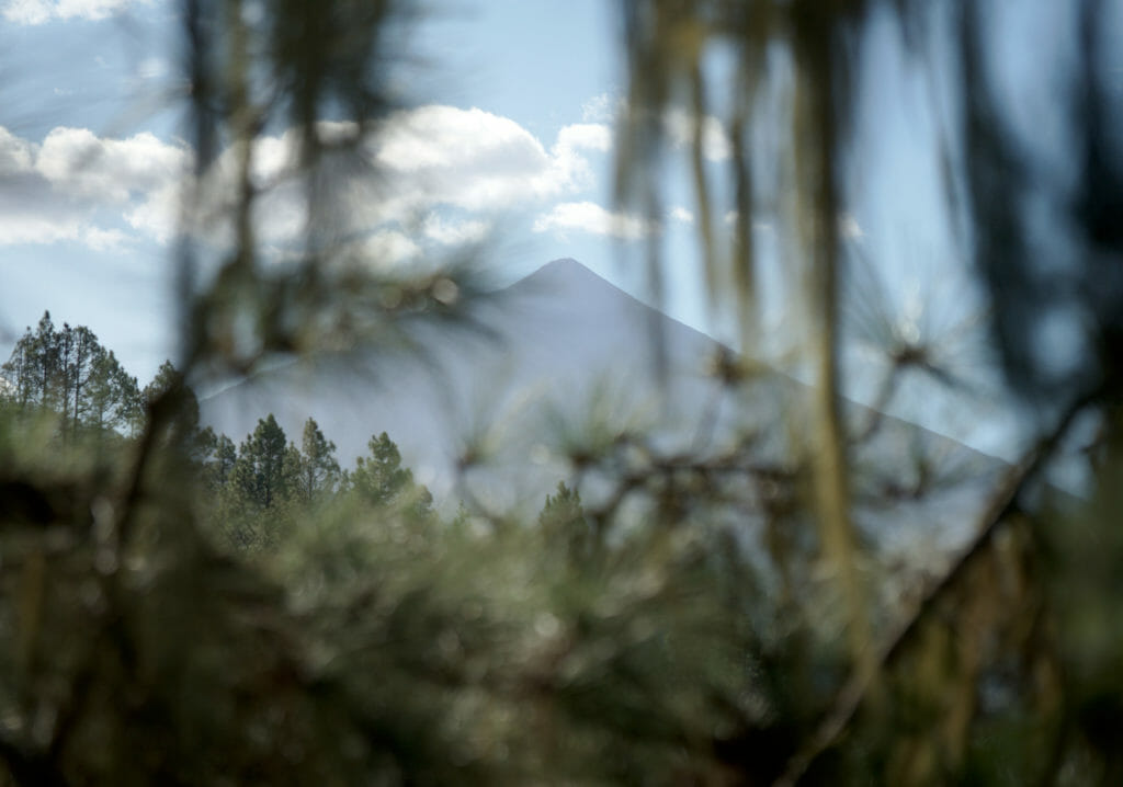 Teide