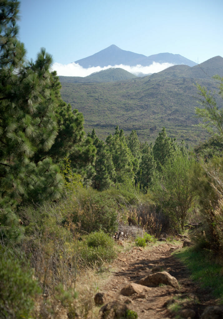 vue sur le Teide en montant au Risco Verde