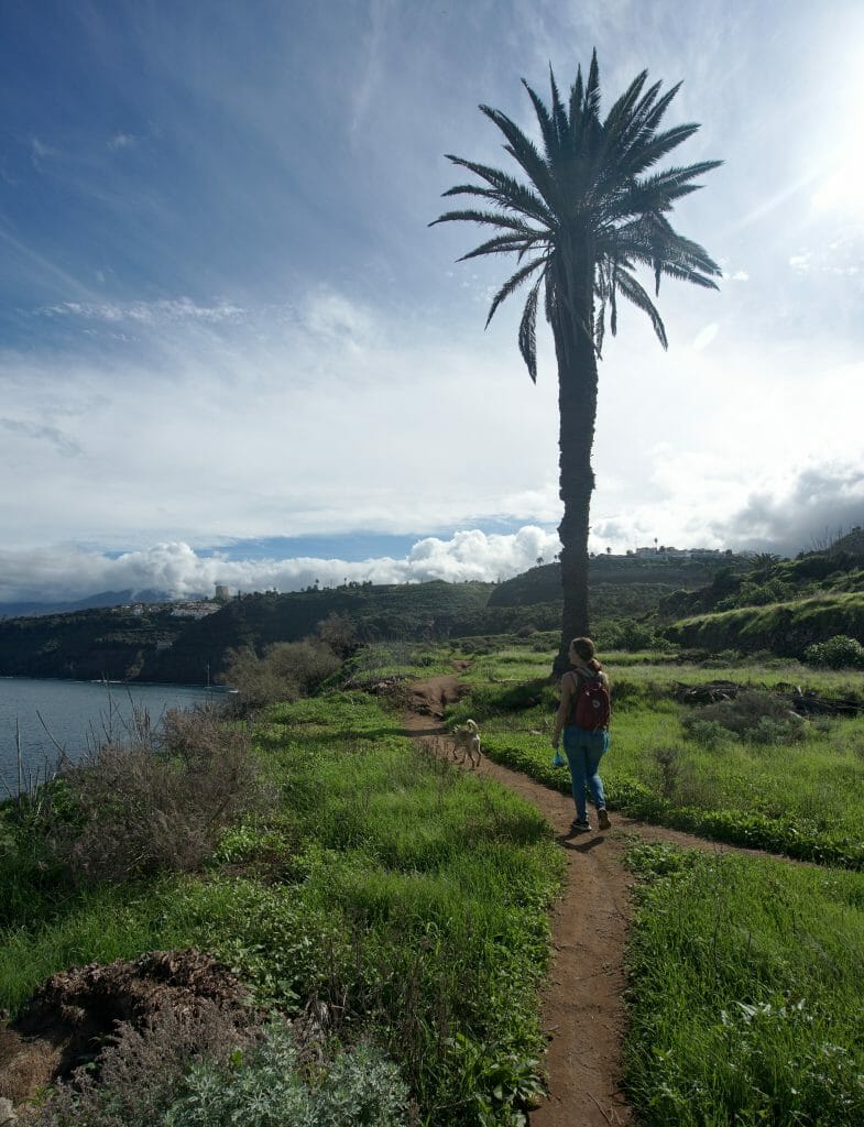 mirador de san pedro tenerife