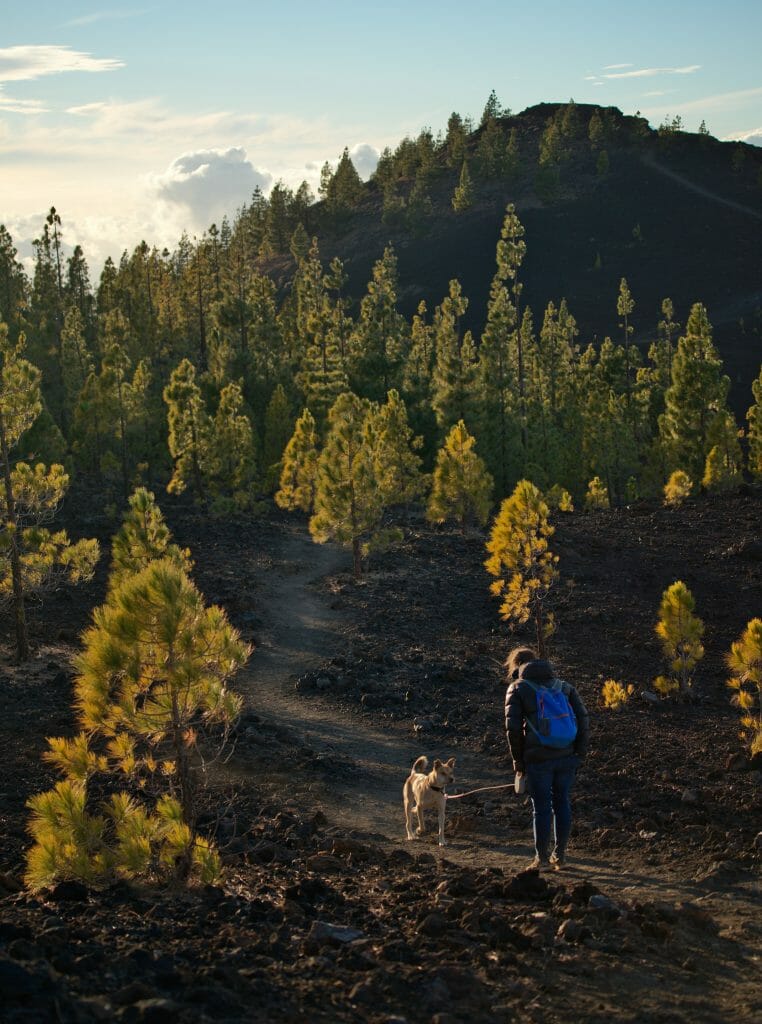 samara, tenerife