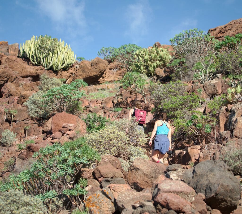 montée à teno alto