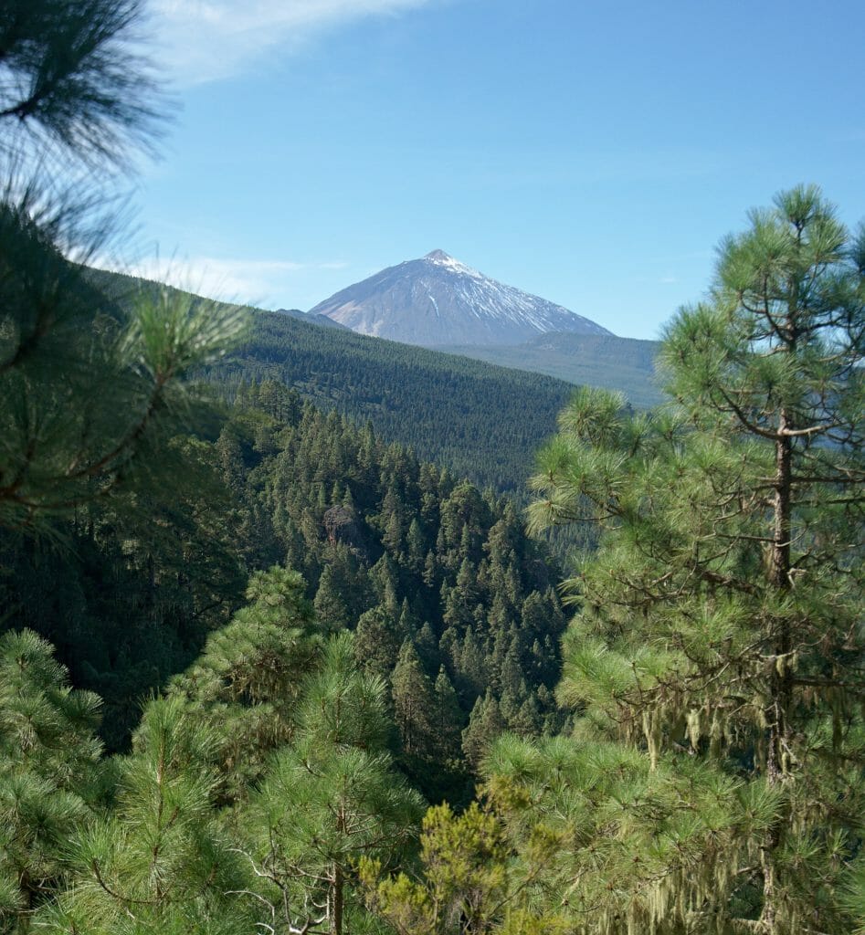 volcan teide from la Caldera