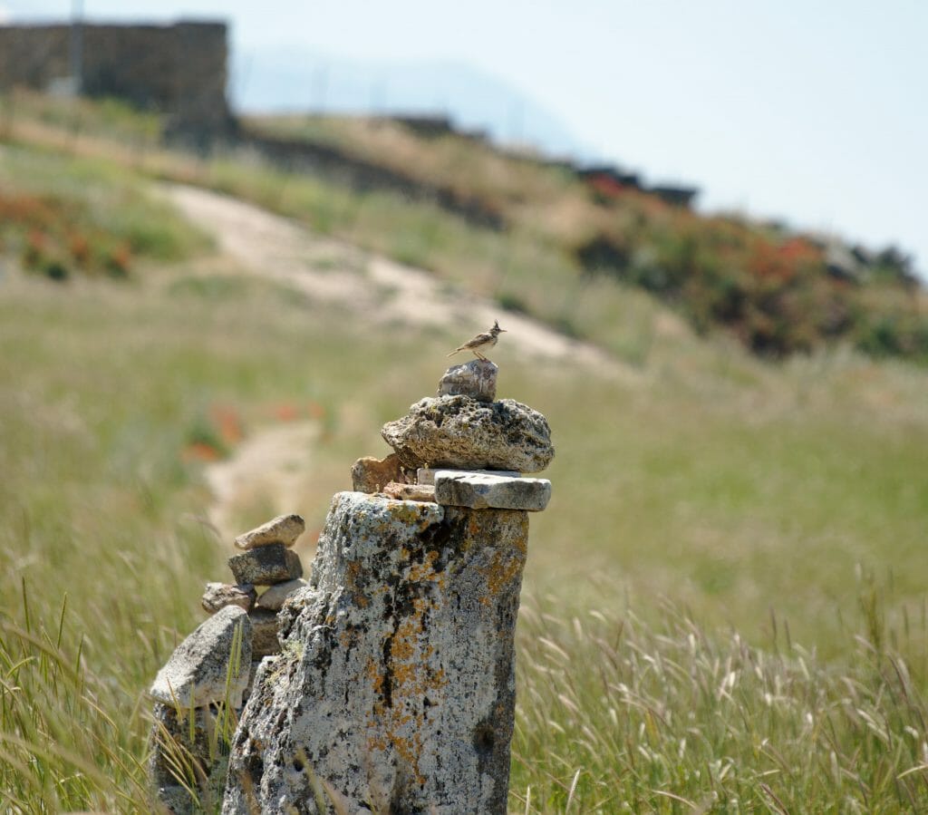 promenade dans hierapolis, turquie