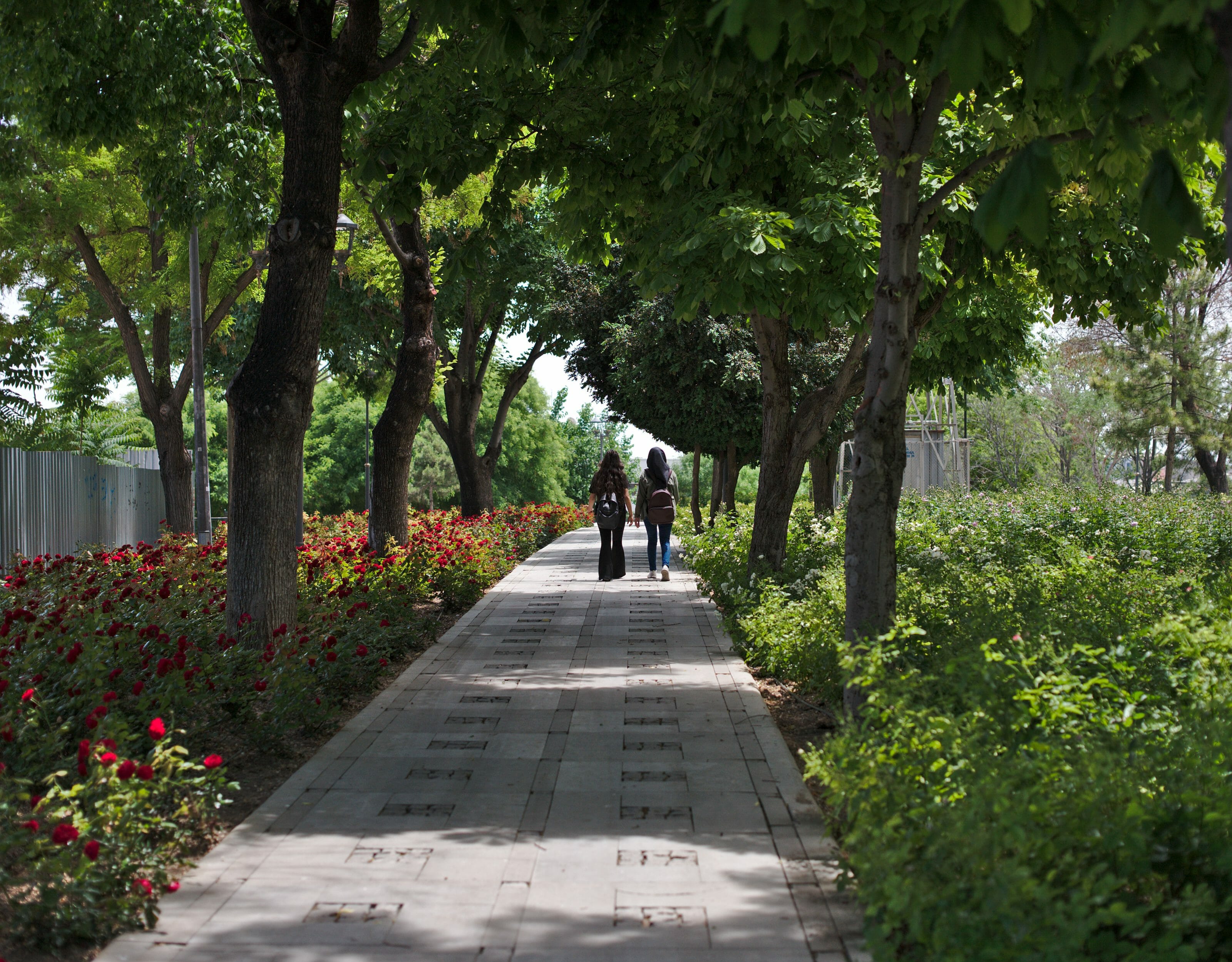 alaaddin hill, konya