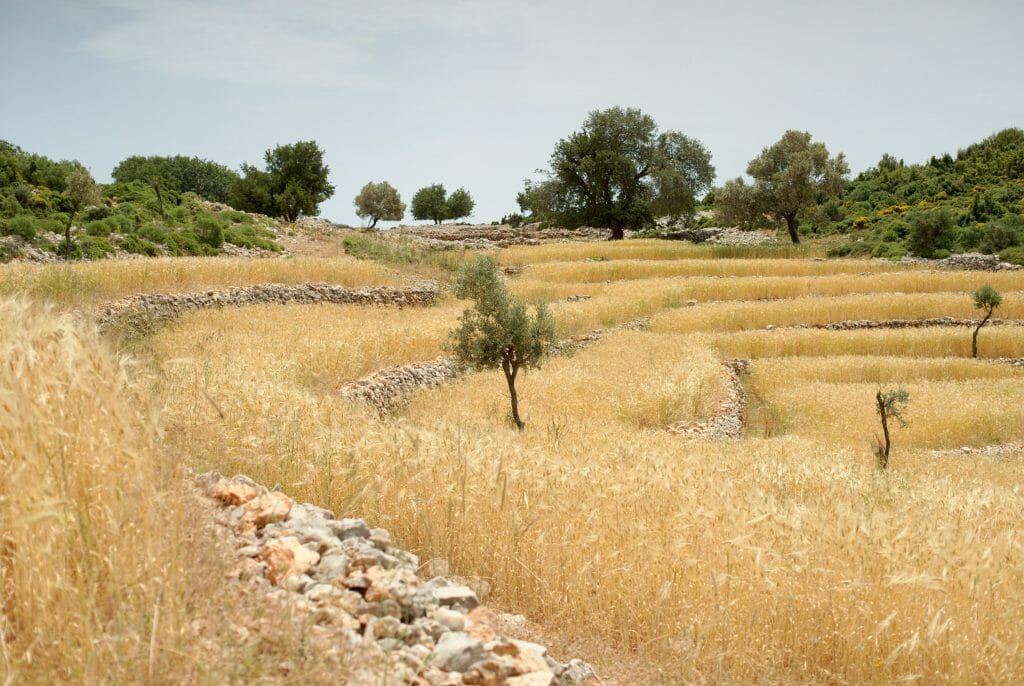 campagne sud turquie