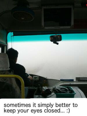 fog, bus ride