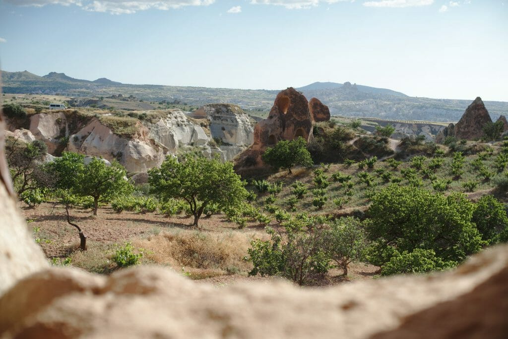 vignes vallée rouge