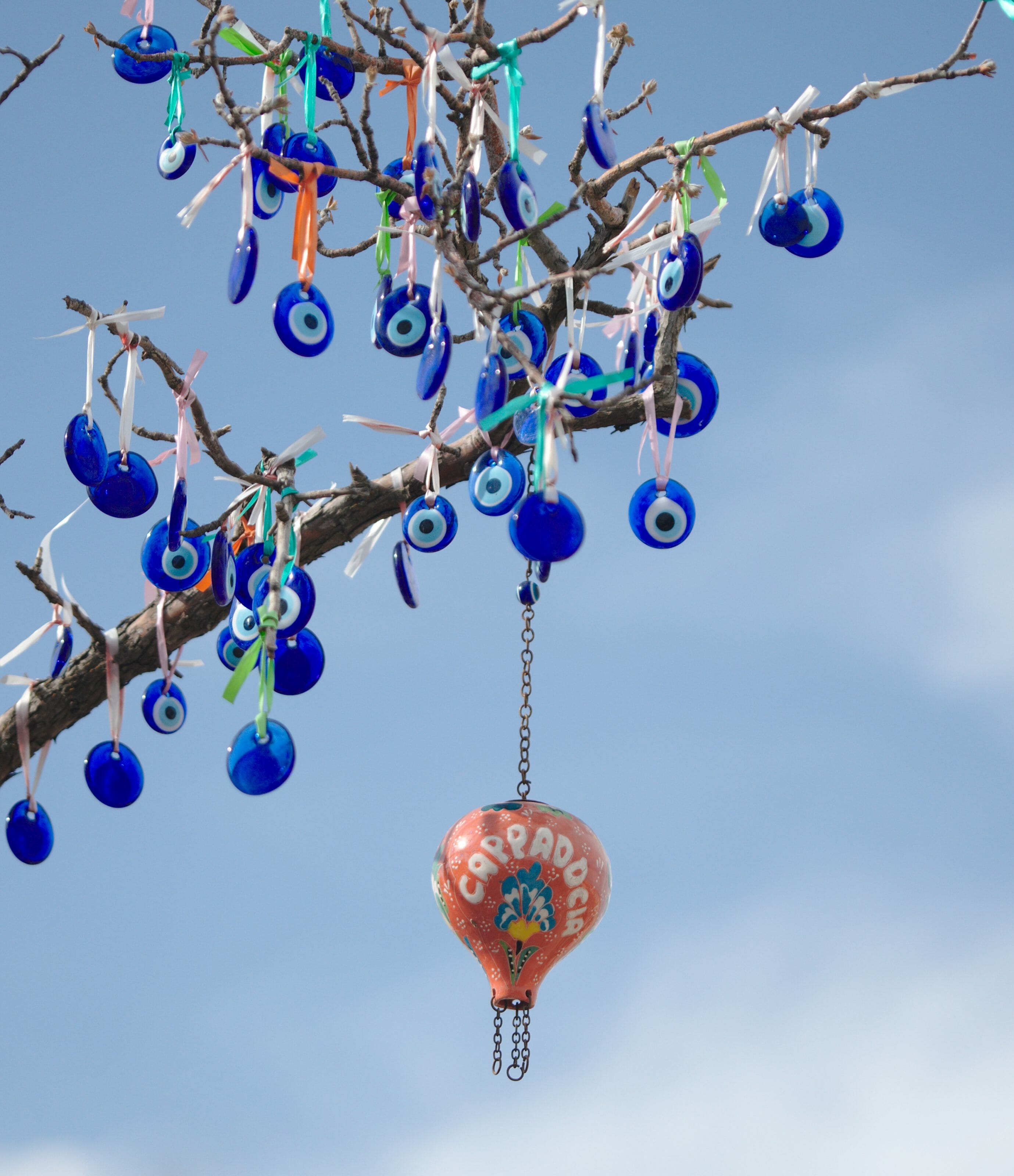 arbre en cappadoce