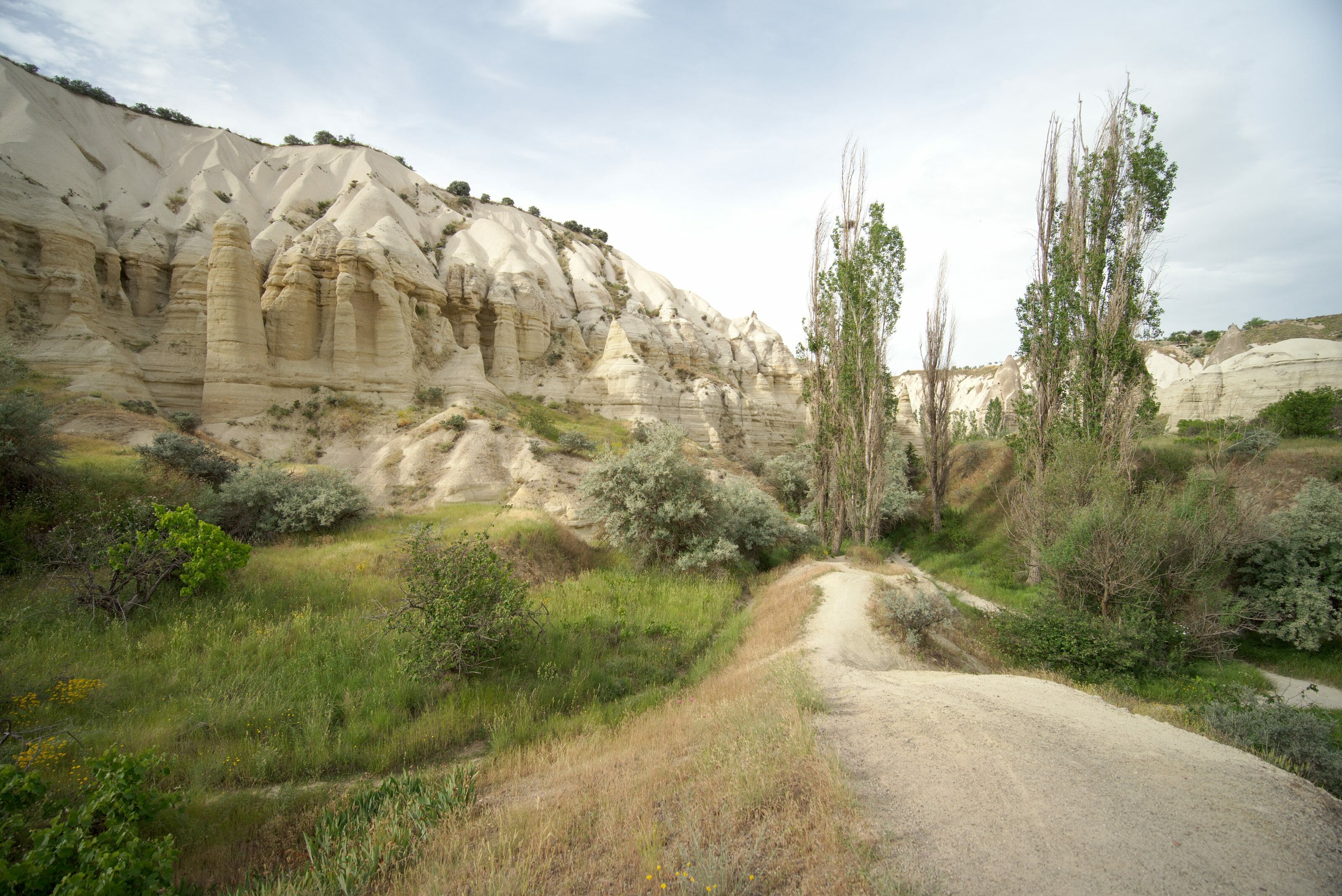 vallée blanche cappadoce