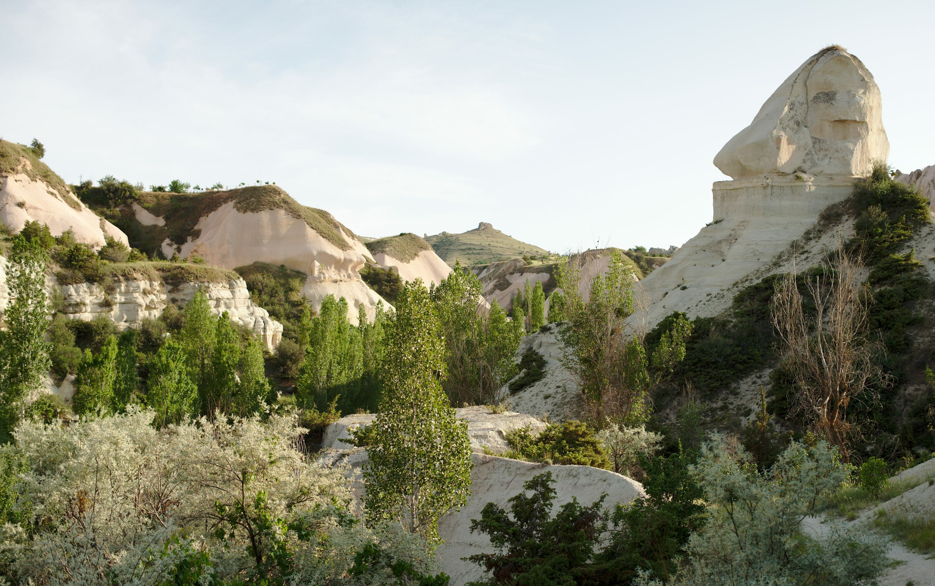 la vallée de Zemi