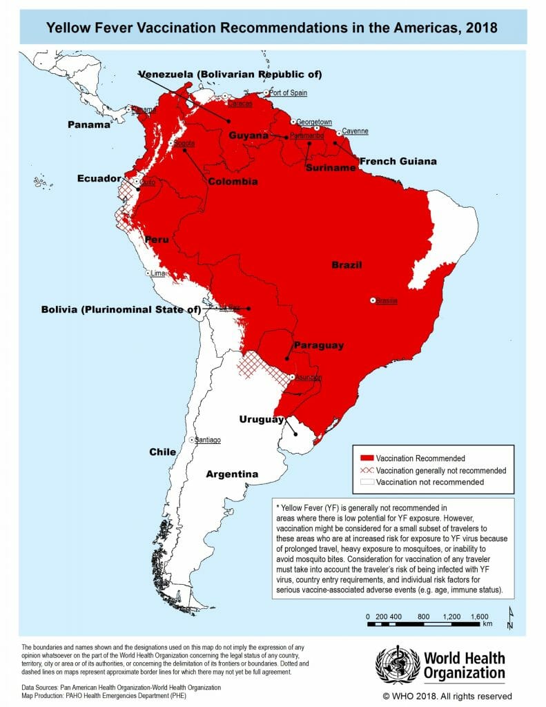 yellow fever south america