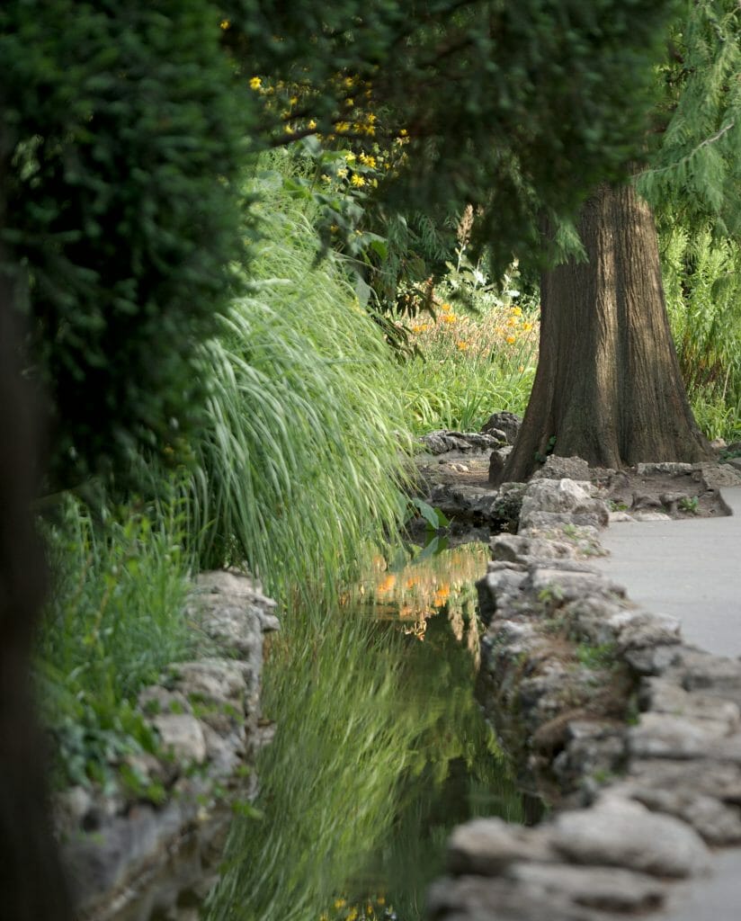 jardin japonais