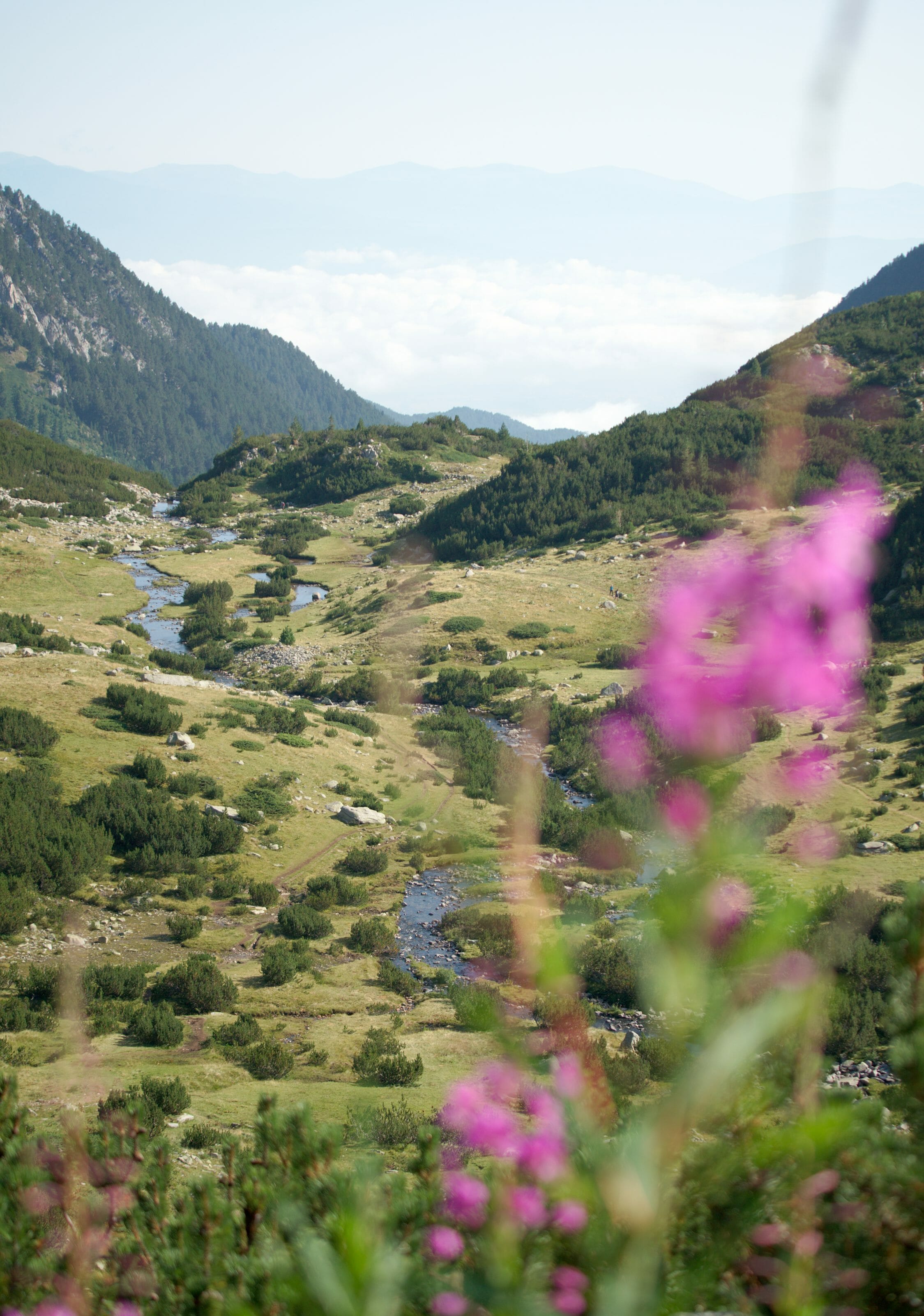 pirin national park