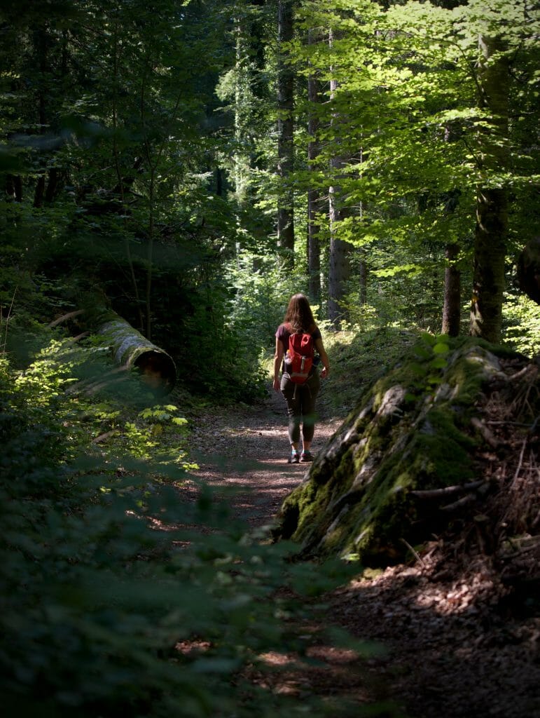 balade en foret à orbe