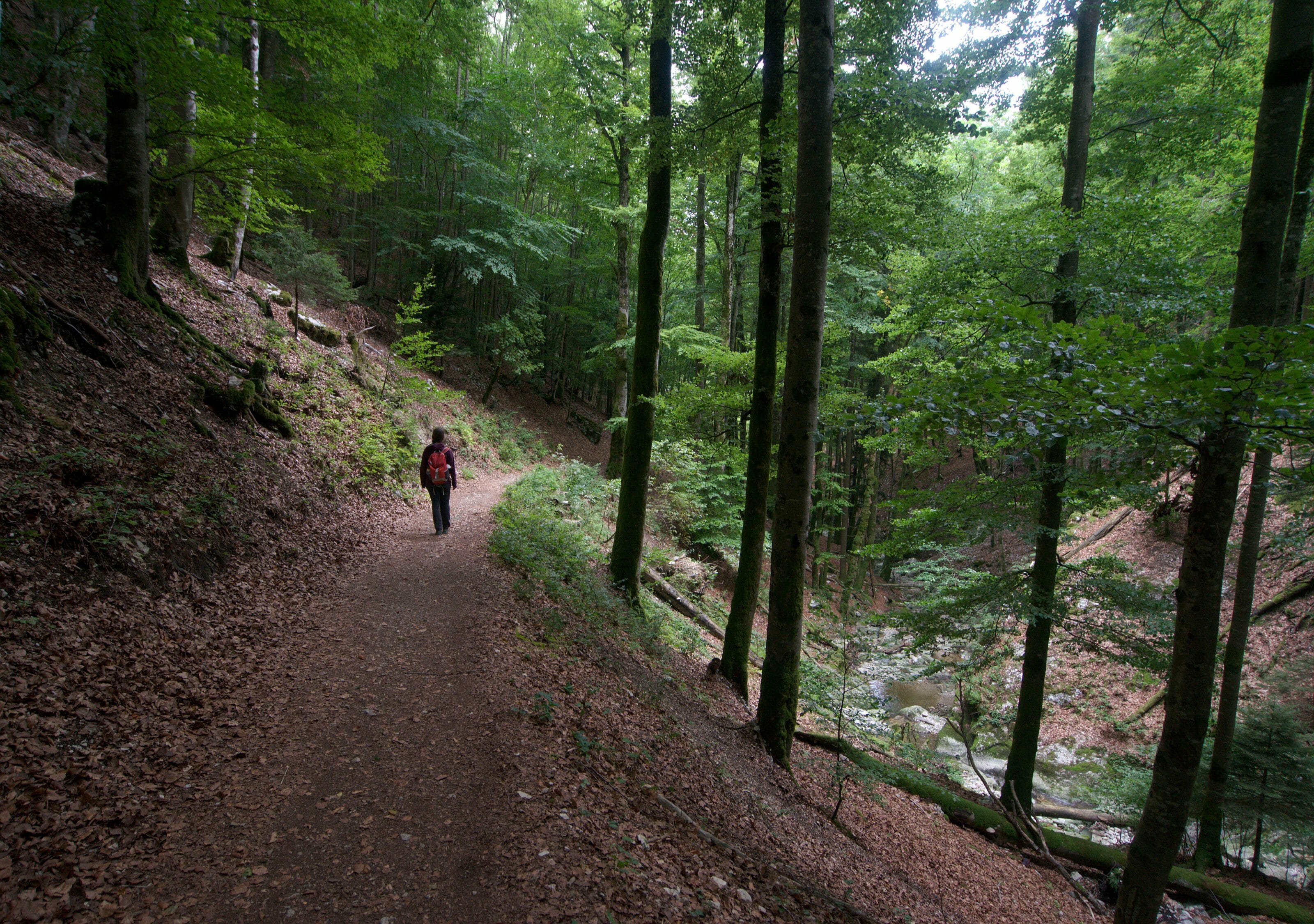 gorges de sainte croix