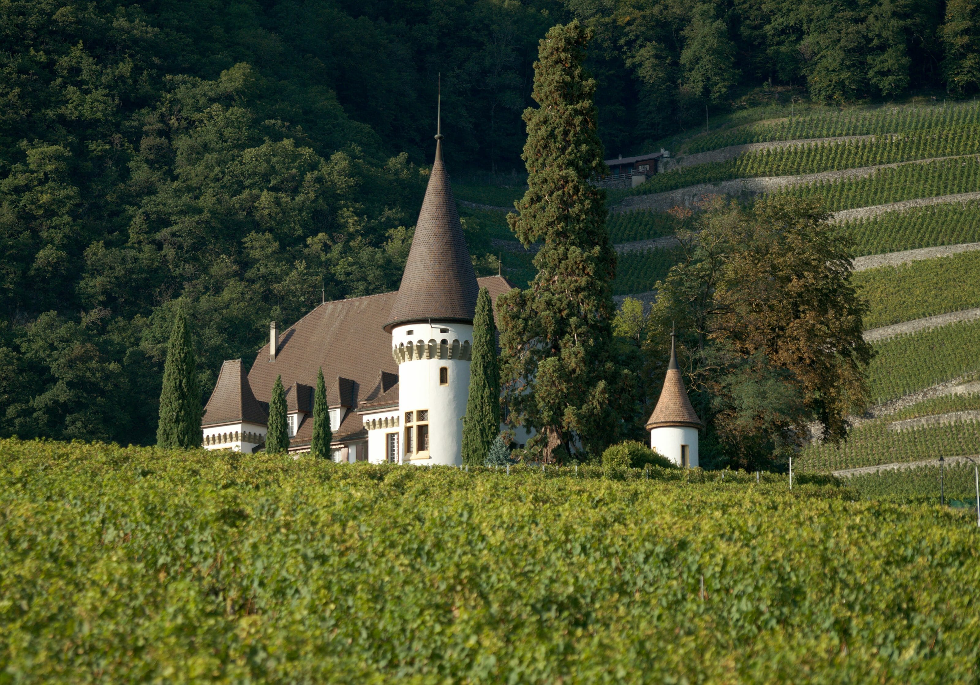 maison blanche à yvorne