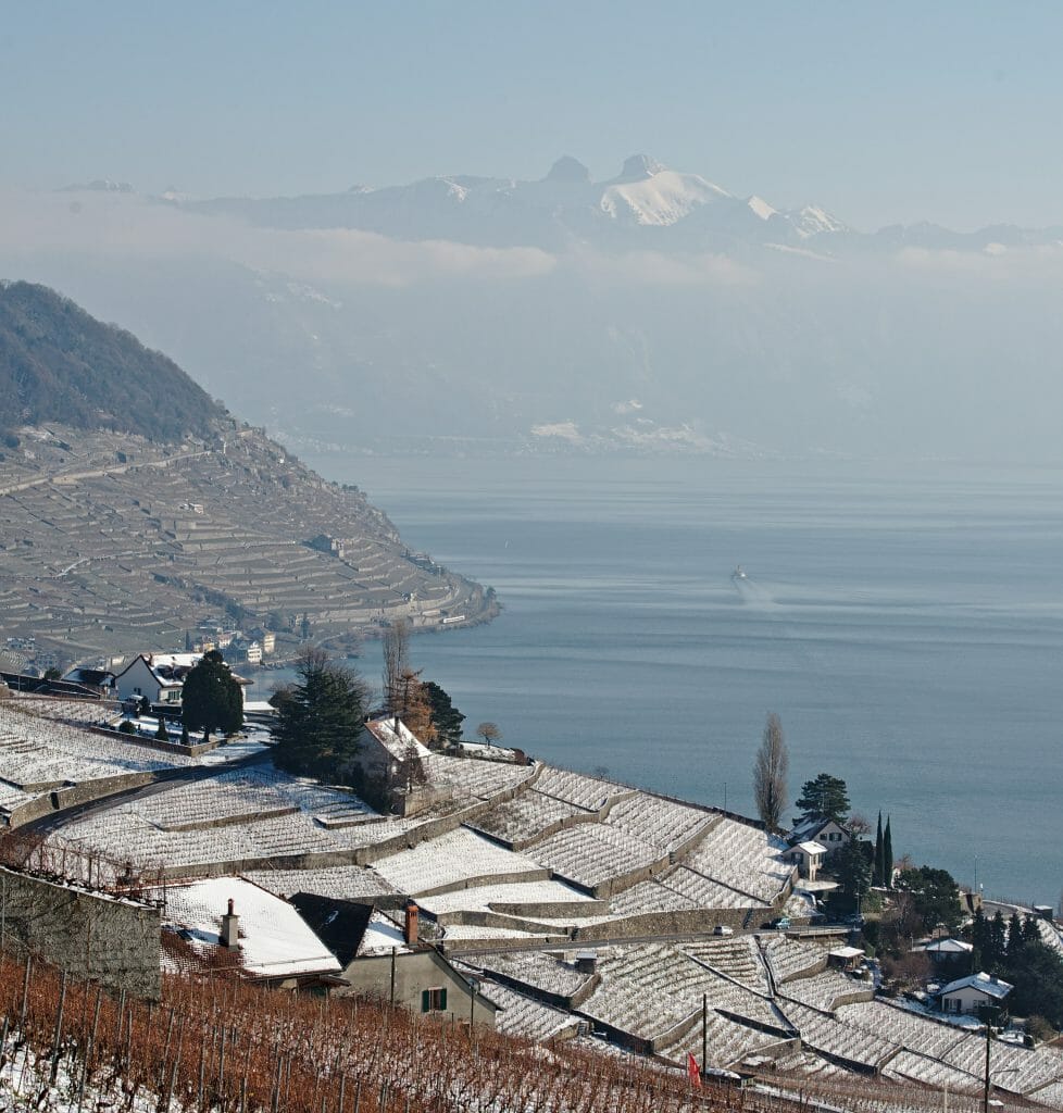 lavaux sous la neige