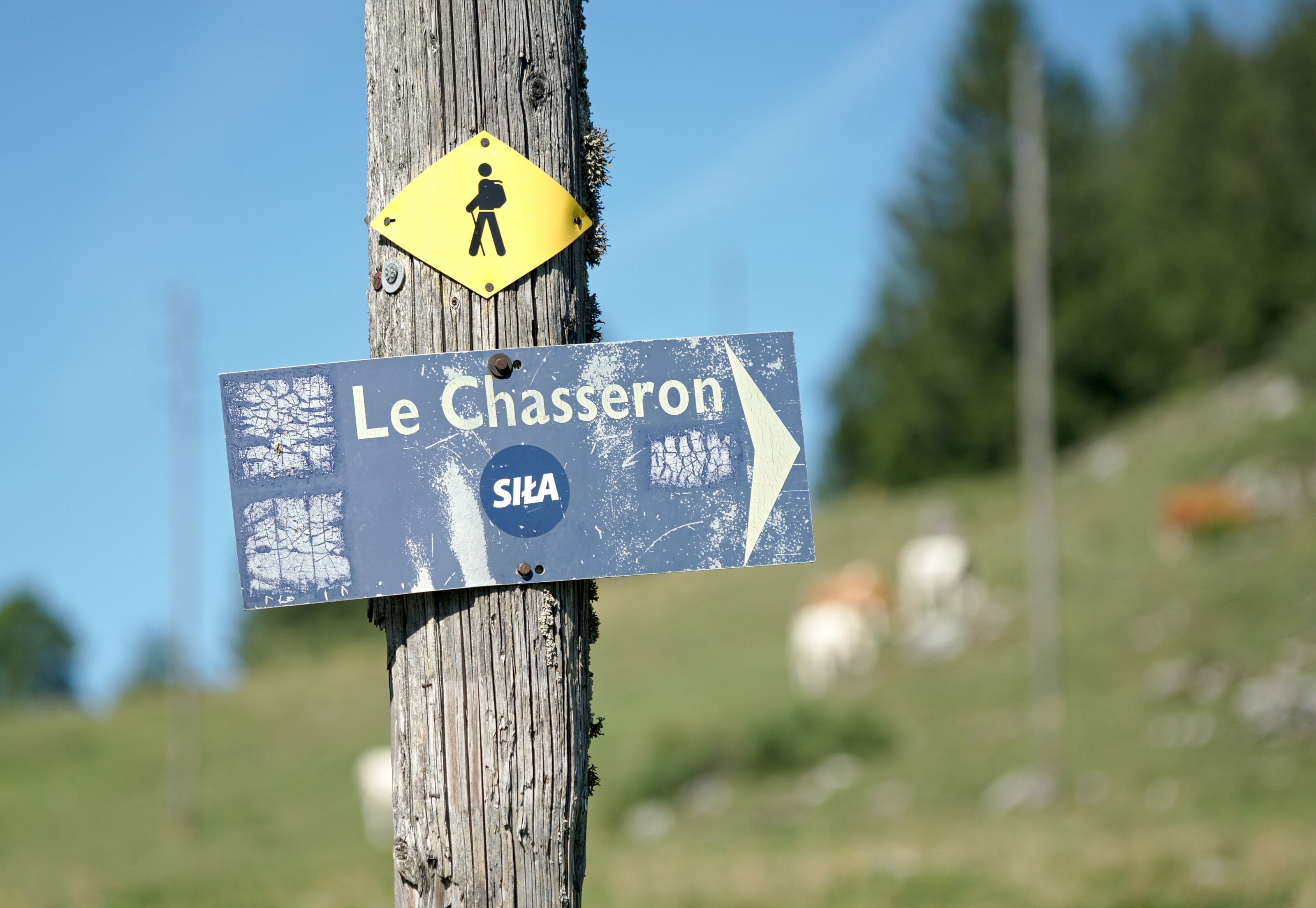 panneau randonnée chasseron