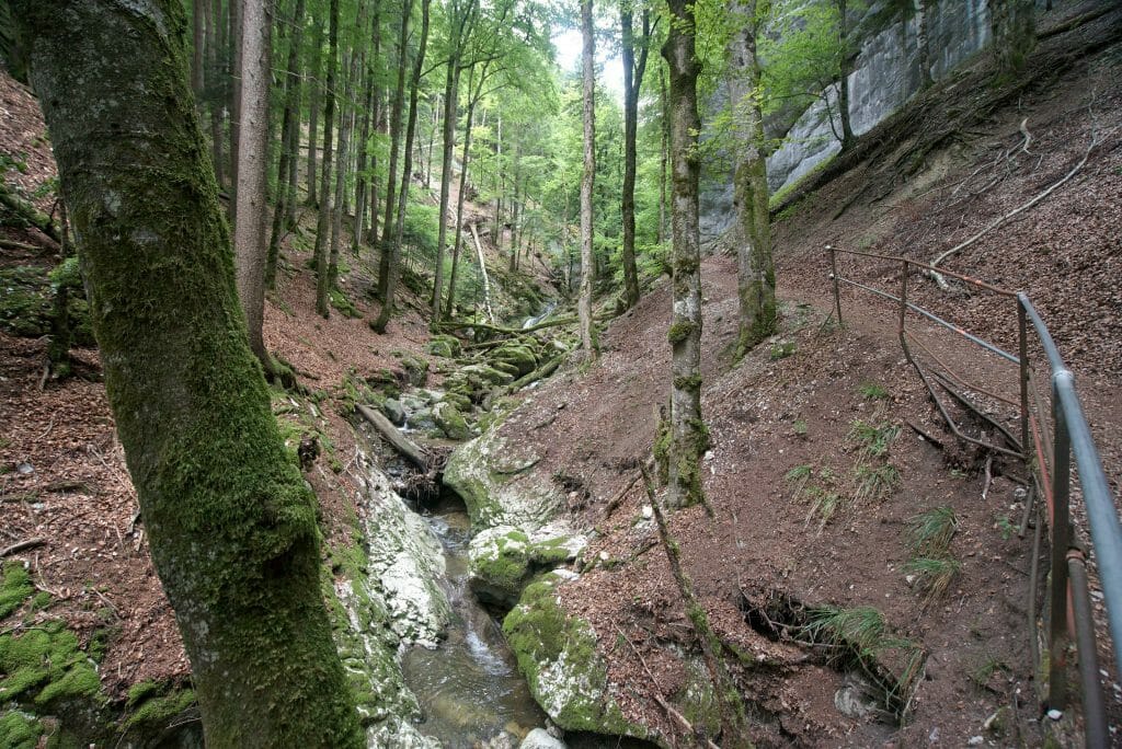 randonnée facile, canton de vaud