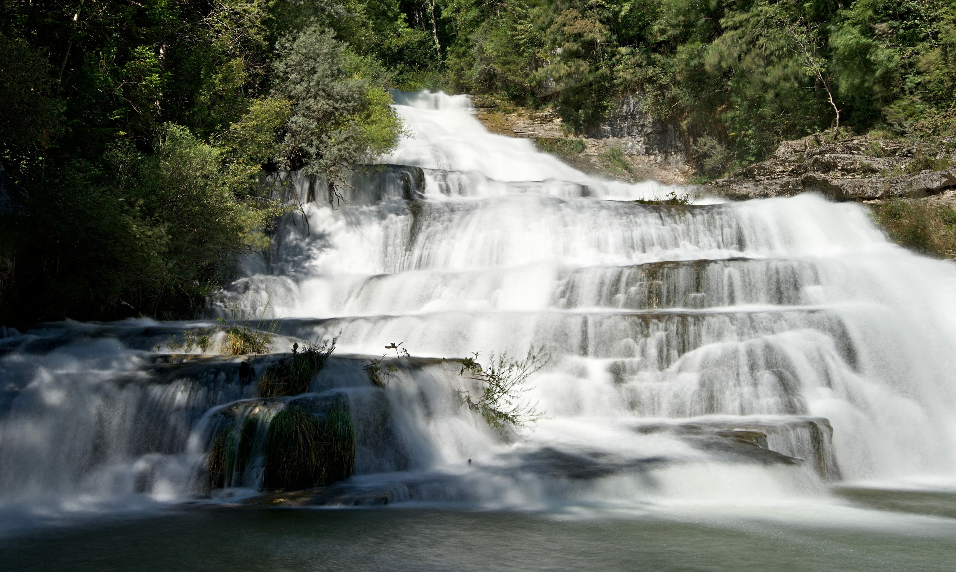 saut du day