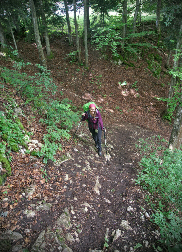 sentier en forêt raide