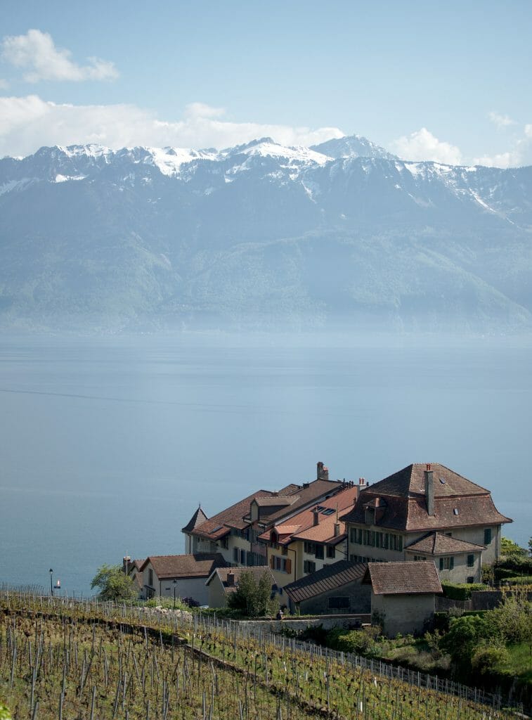 panorama lavaux