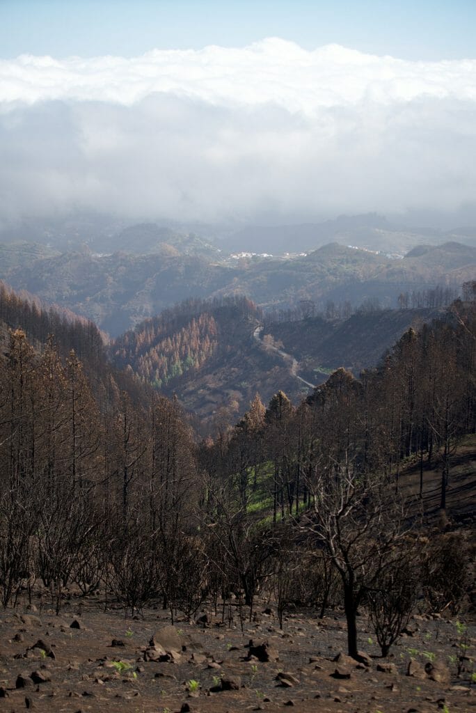 côte nord de gran canaria