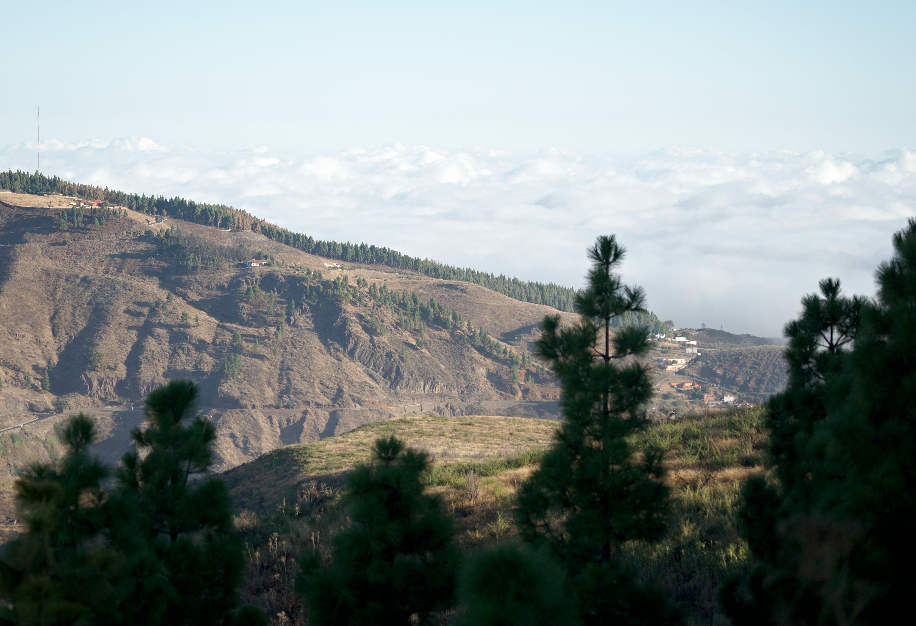 cruz de tejeda