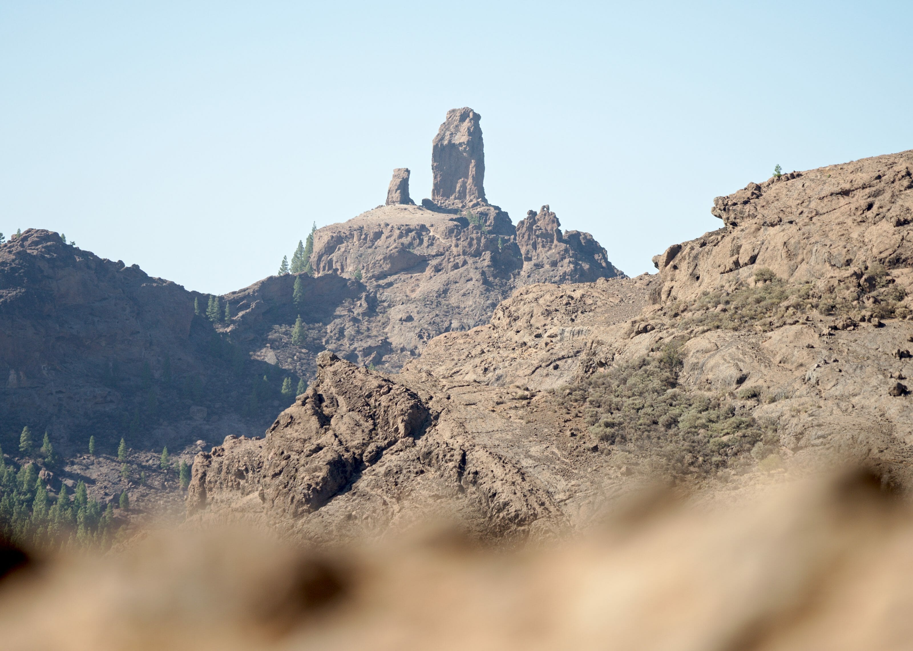 roque nublo