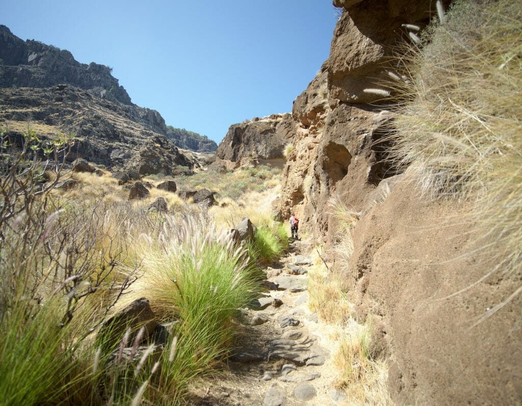 rando san pedro agaete