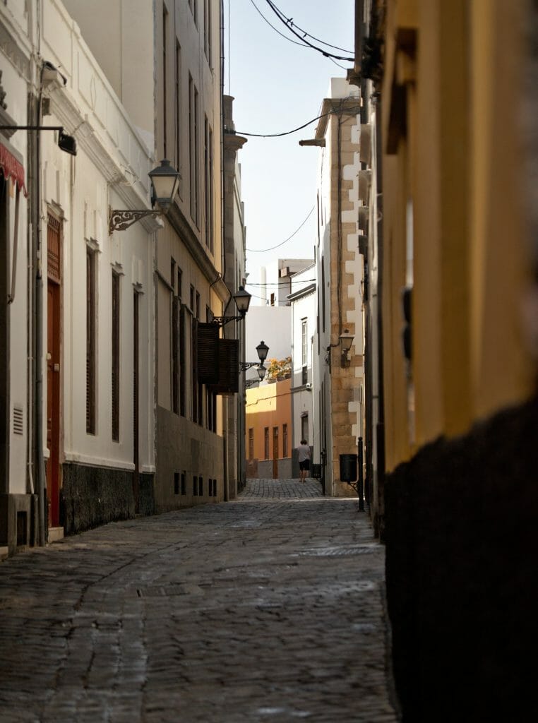 ruelle vegueta