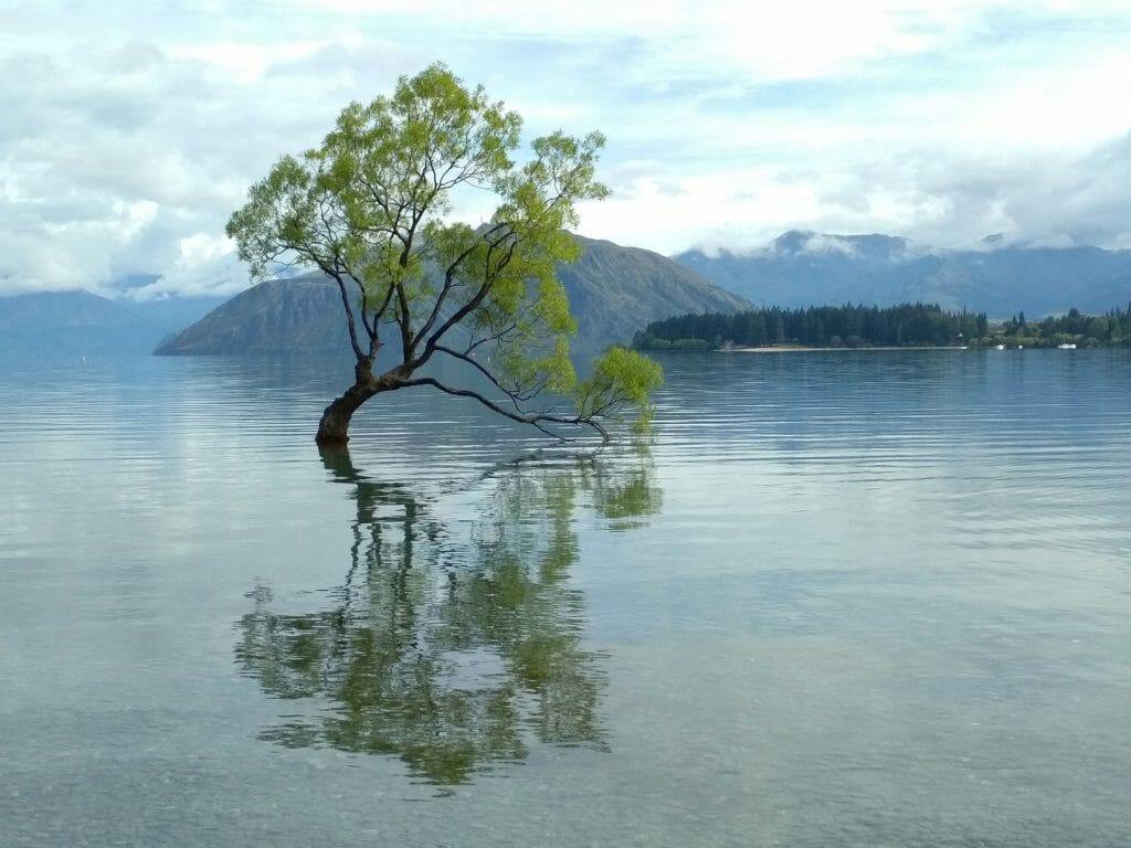 wanaka tour du monde