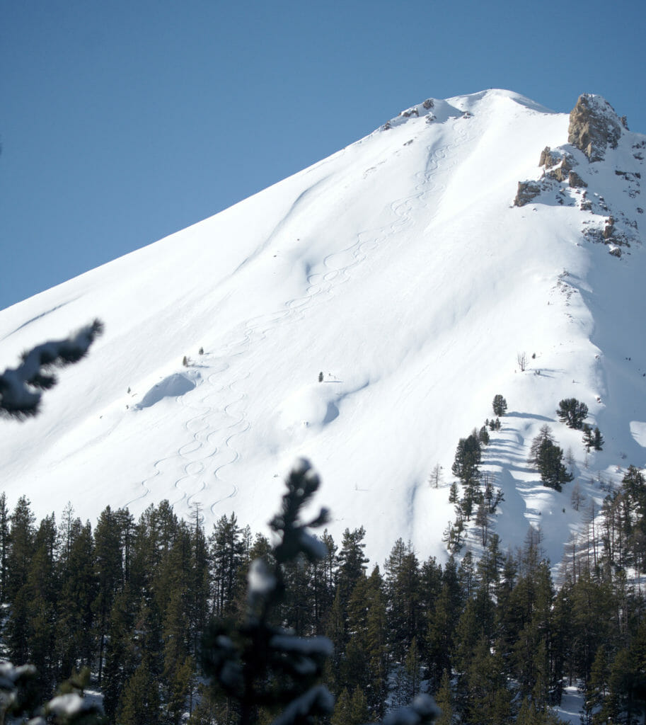 descente de rêve dans la poudreuse