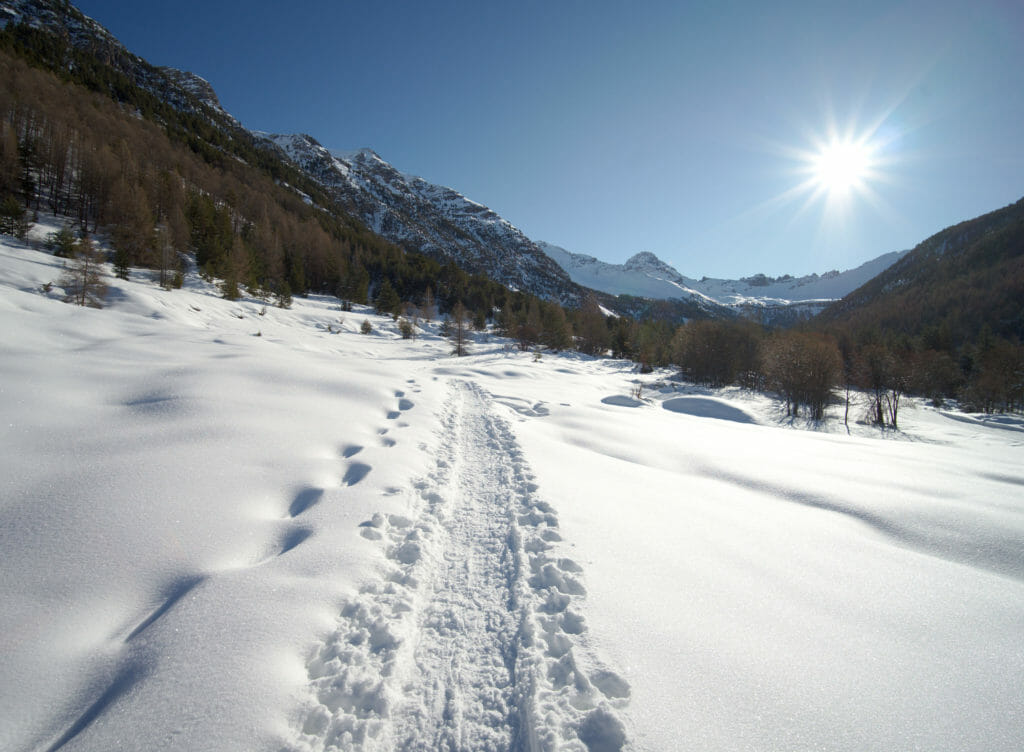 trace raquettes au Laus