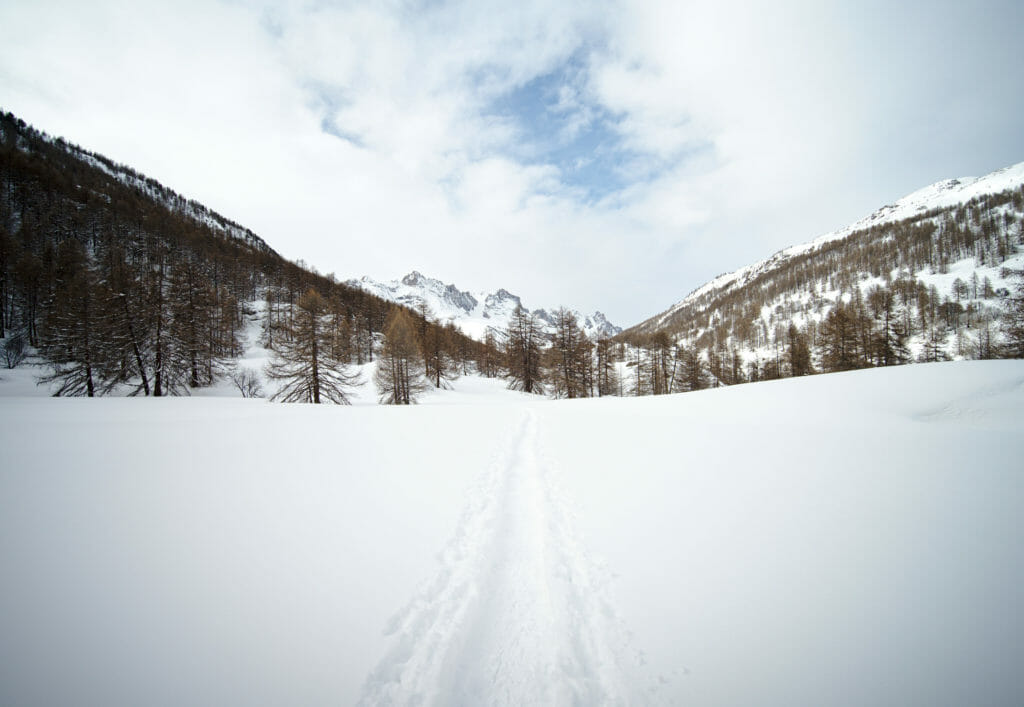 raquettes à neige