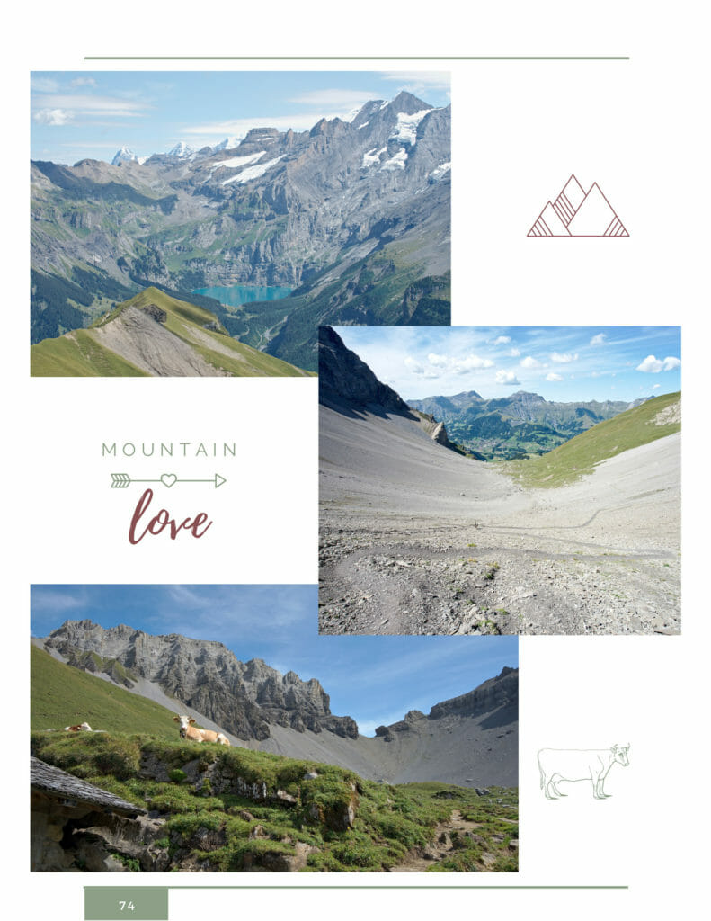 illustrations via alpina suisse