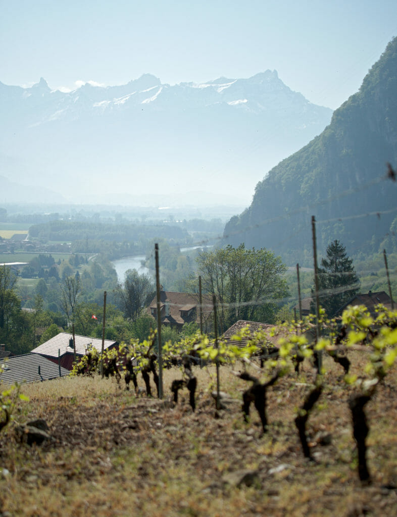 plaine du rhone evouettes