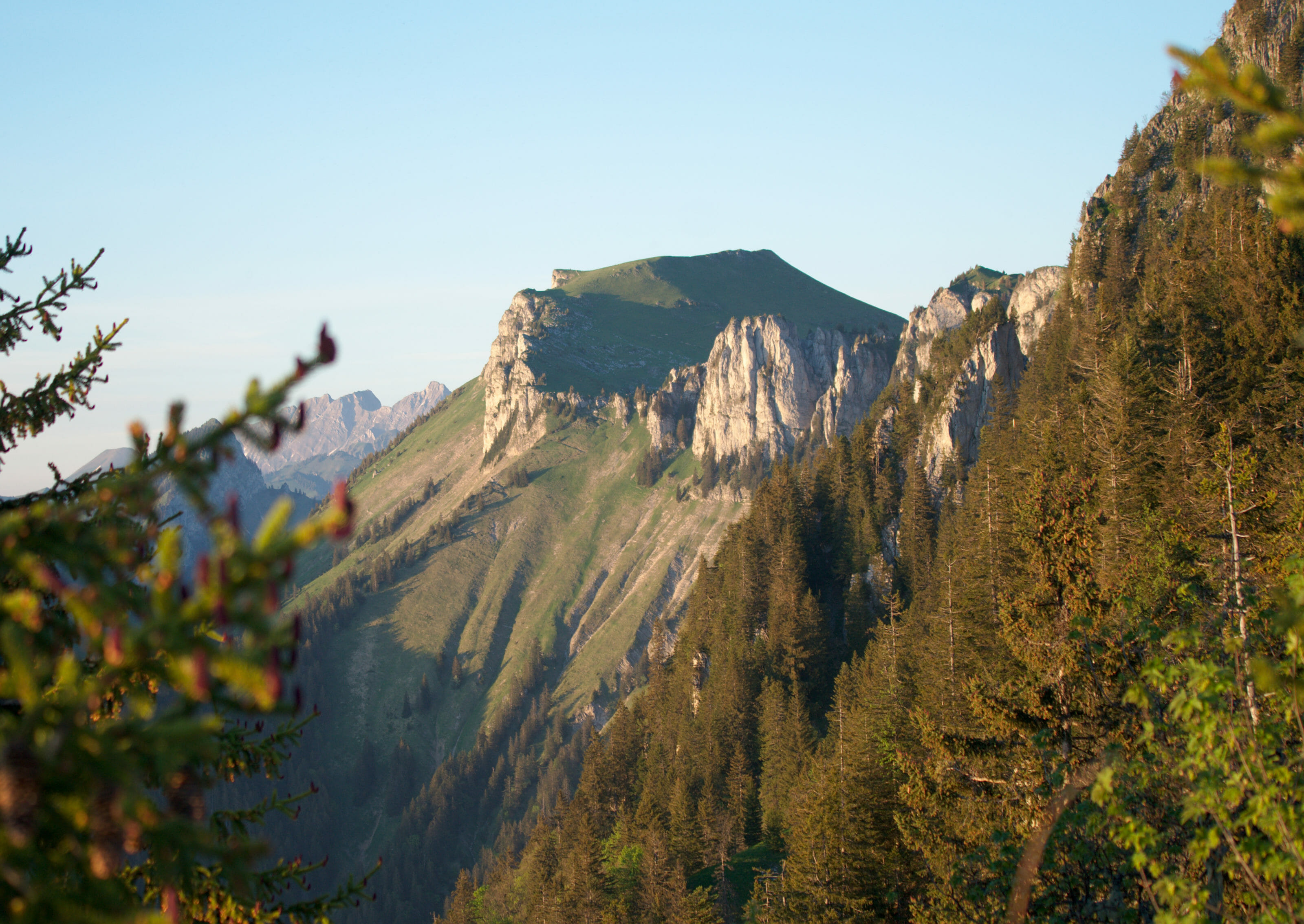 malatraix ridge