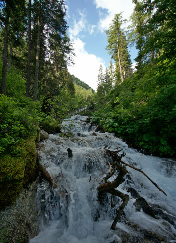 bisse de champex