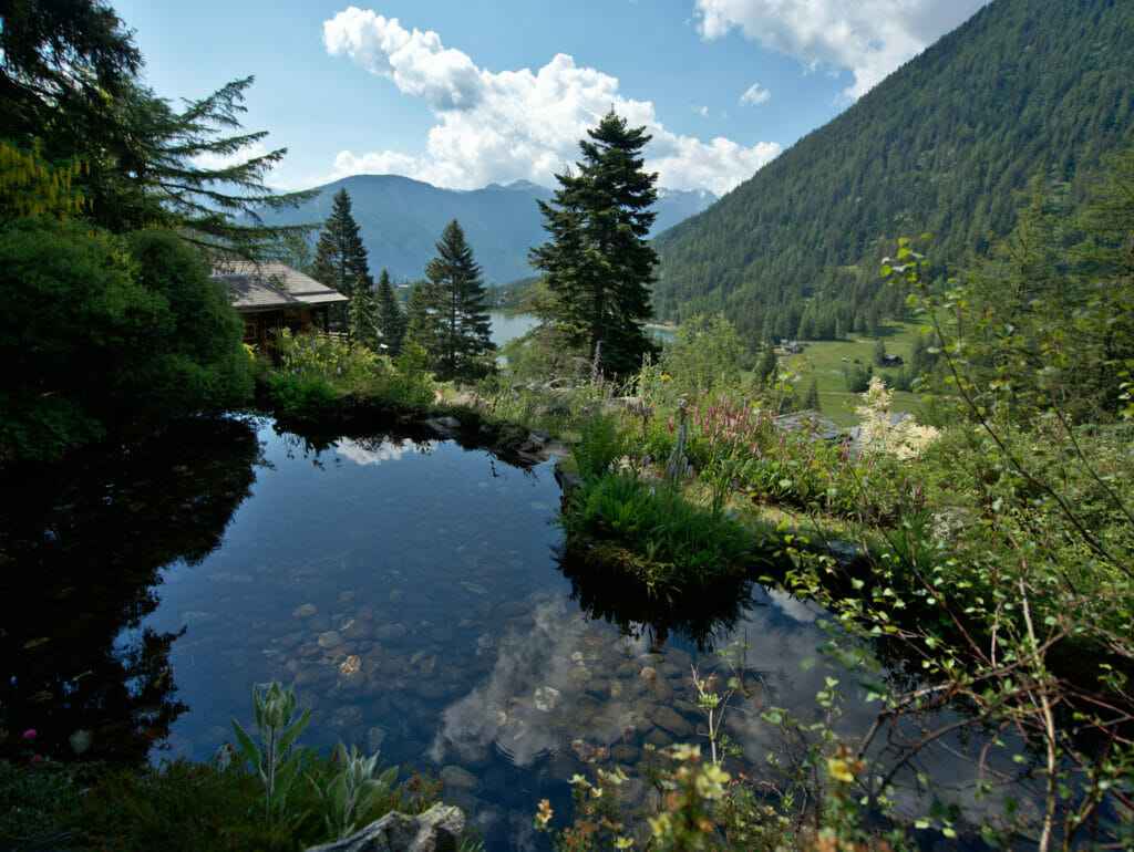 jardin botanique flore alpe