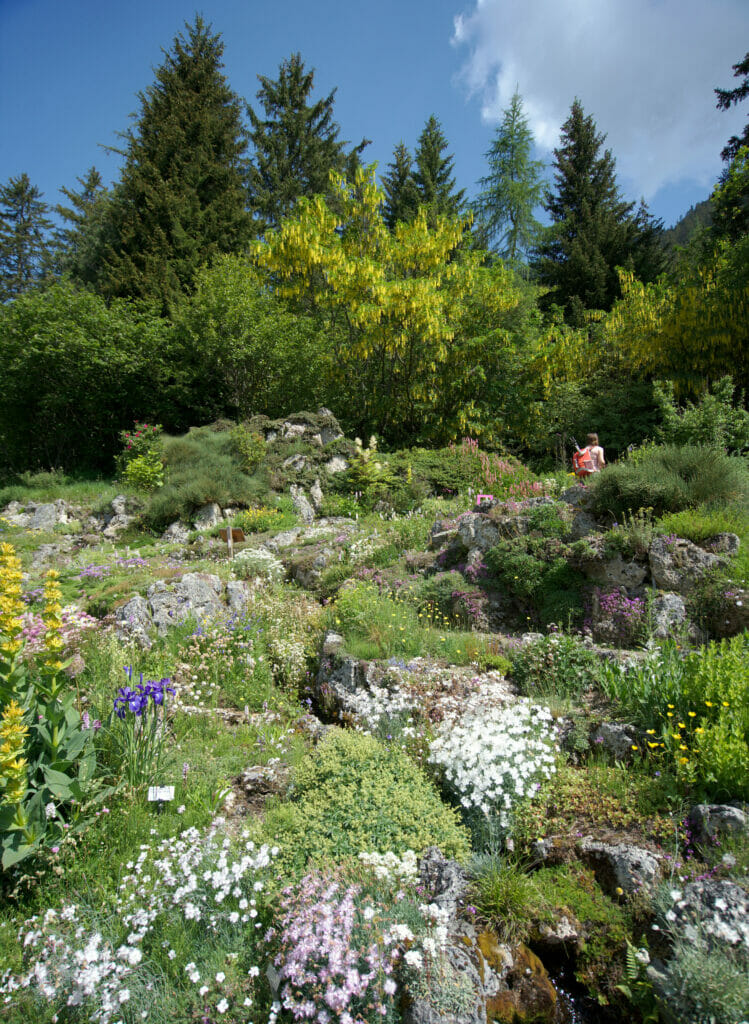 jardin alpin