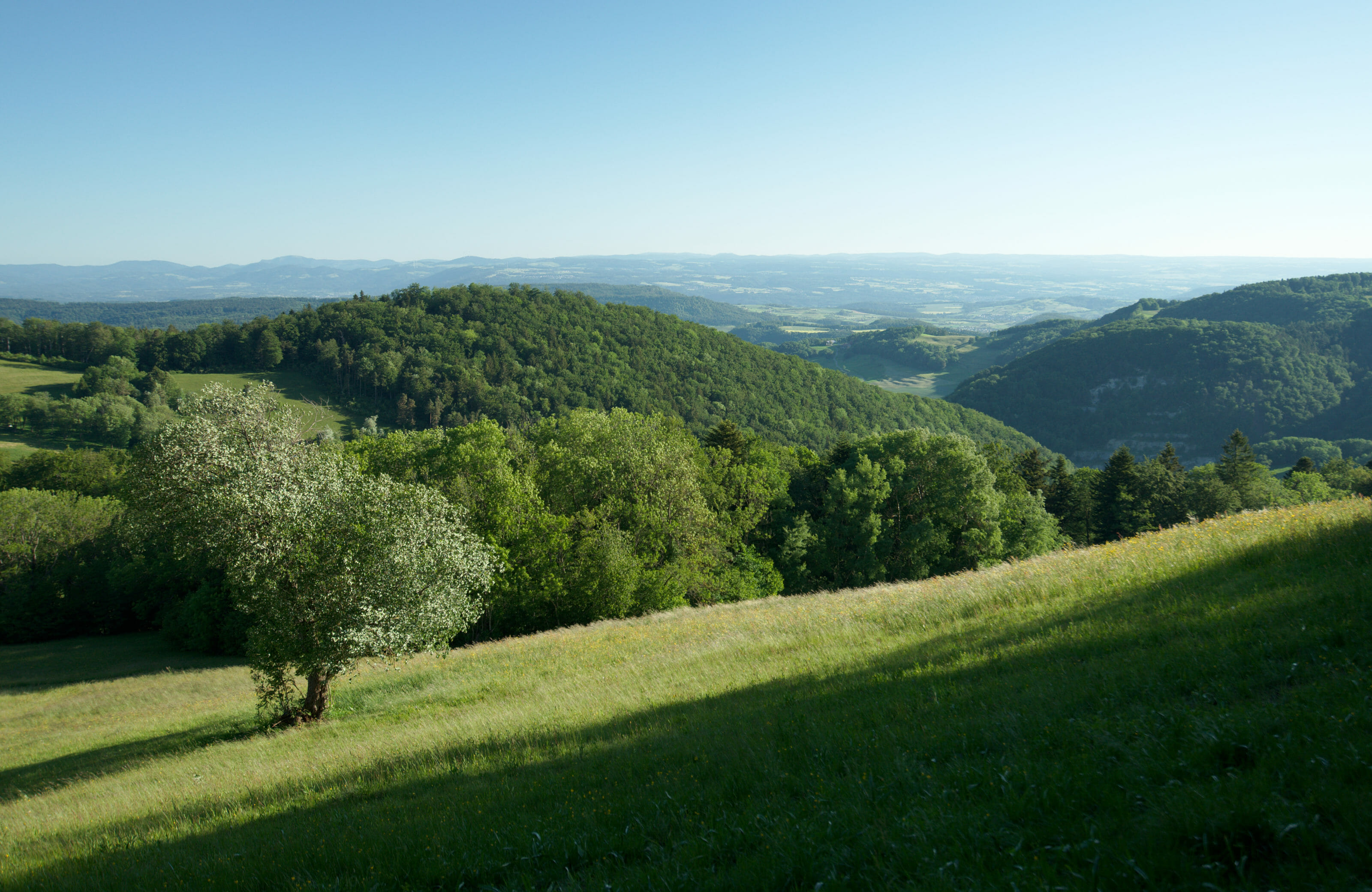 jura suisse