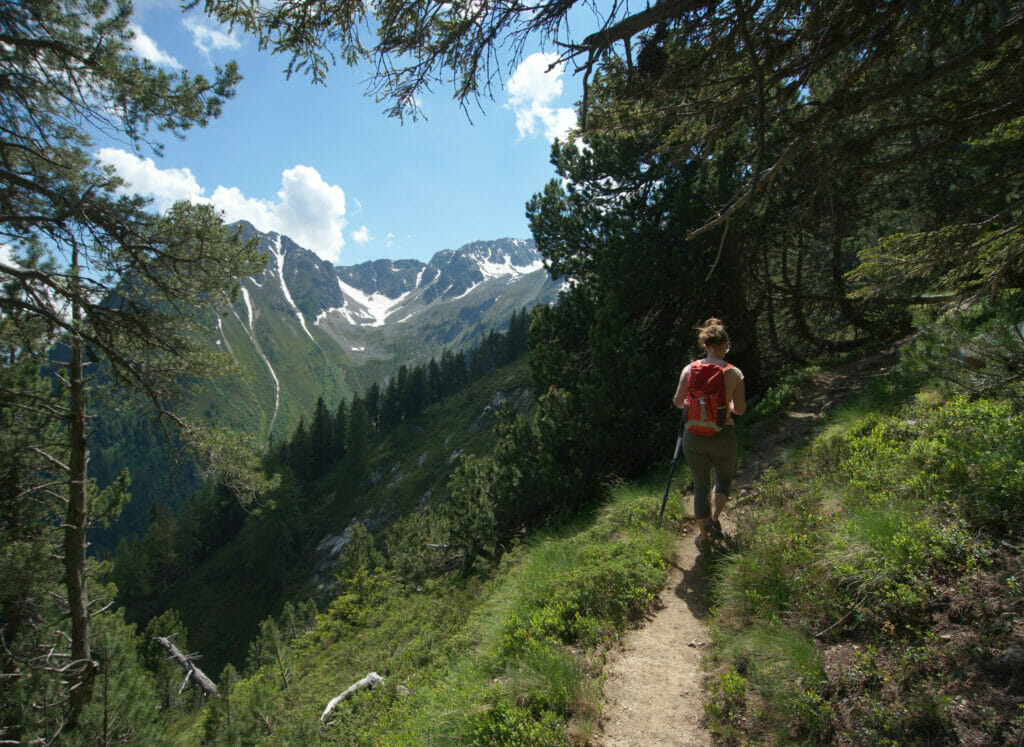 sentier à la breya